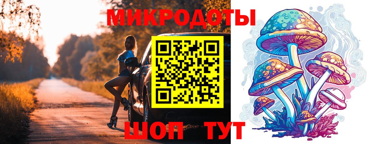 Псилоцибиновые грибы Psilocybe Коркино