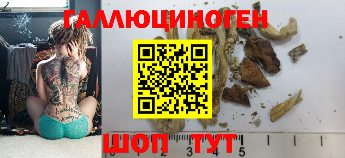 Коркино  Псилоцибиновые грибы мицелий  Вход с VPN 