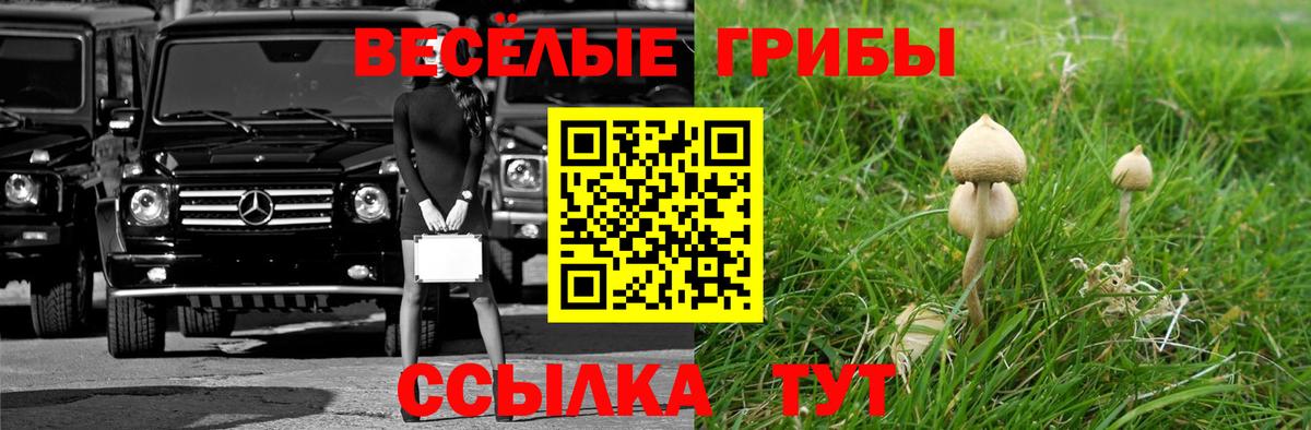 NBOMe Коркино