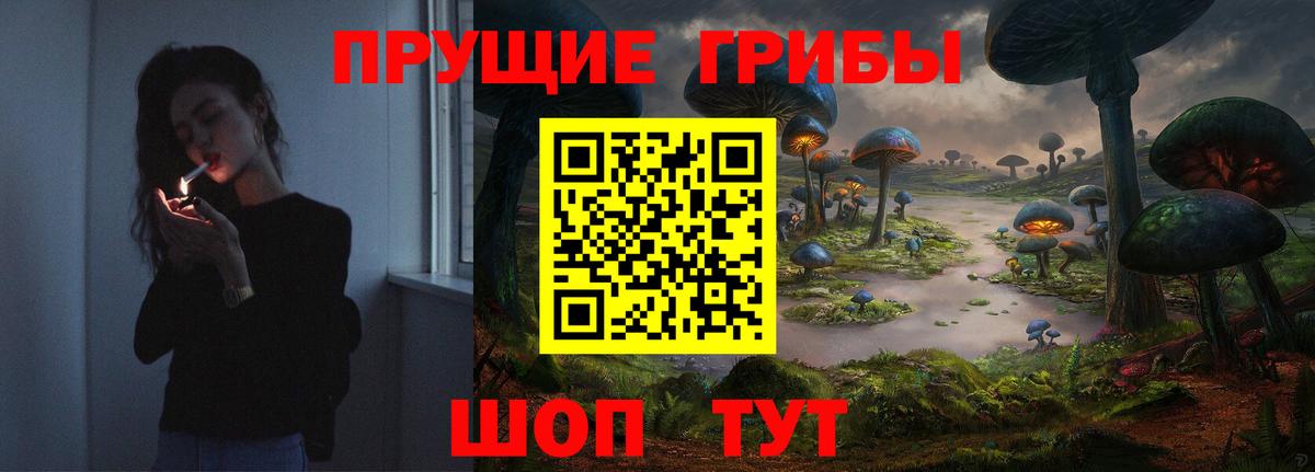Галлюциногенные грибы прущие грибы Коркино