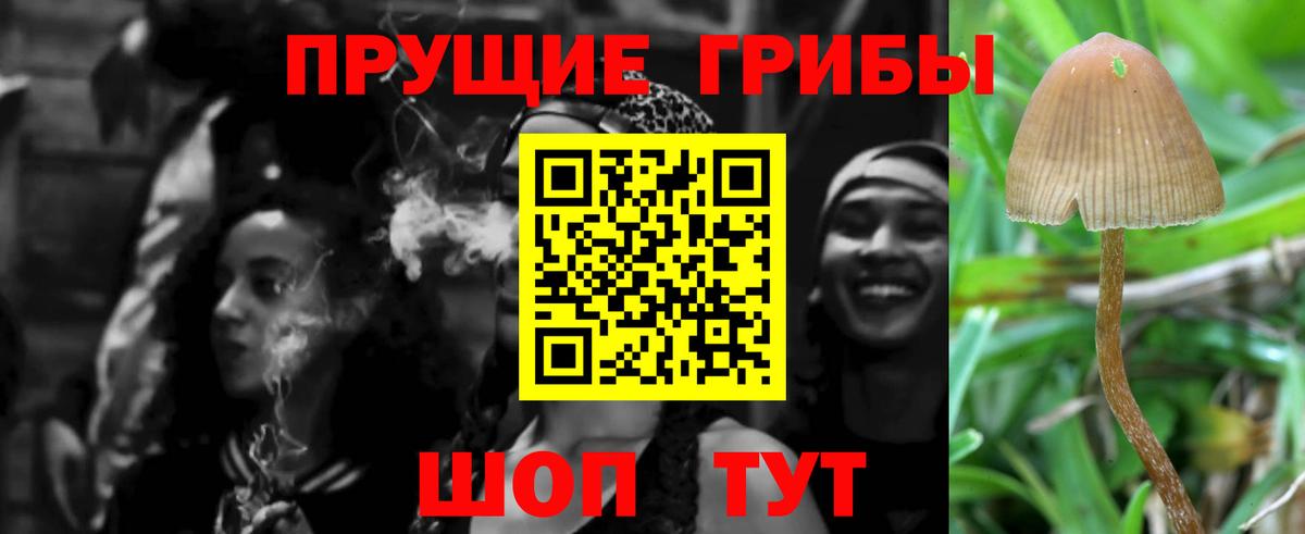 Галлюциногенные грибы прущие грибы  Галлюциногенные грибы мухоморы  Коркино 